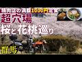 地図に無い群馬の超穴場花桃と桜スポットと精肉店の食事処しまむらで満腹ソースカツ丼とラーメンセット｜モンキー125ツーリング