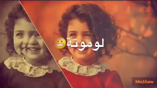 اجمل حالات واتساب حب وغرام || ❤||مقاطع عشق رومانسيه قصيره ❤انستقرام 2019😻