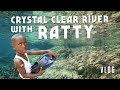 Crystal Clear River in Jamaica! Snorkeling with Ratty 🤿 🇯🇲 🐟