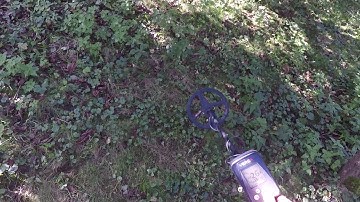 Rutus VERSA -11" standart coil in Program PARK/sens20/in deep test on small low conductive targets