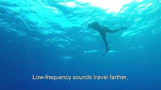 Frequency work &amp; object reacting to it