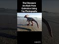 Bringing Dinosaurs Back From Extinction Using Toy Photography #fypviral #dinosaur #toyphotography