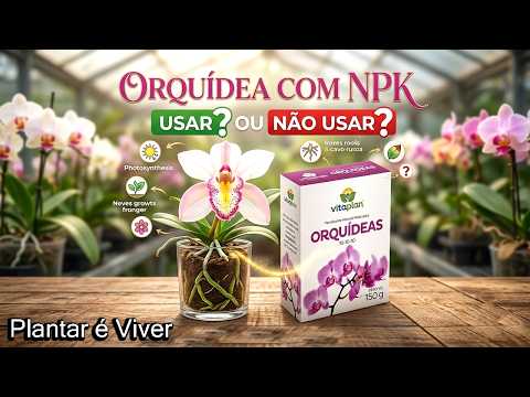 ORQUÍDEA COM NPK USAR OU NÃO USAR DICAS MARAVILHOSAS!
