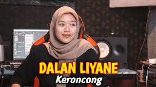 DALAN LIYANE KERONCONG COVER