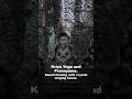 Voice, Breath & Ancient Temples: Our Angkor Wat Journey