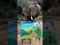 Рисует лучше многих людей 🐘😍