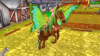 Week 10 In The Shooting Stars I Got My First Ever Erfly Horse Best Day Ever