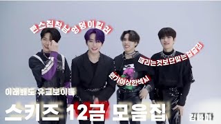 [스트레이키즈/straykids] 스키즈 너희 유교보이 맞아?/스키즈 12금 모음집/모음집