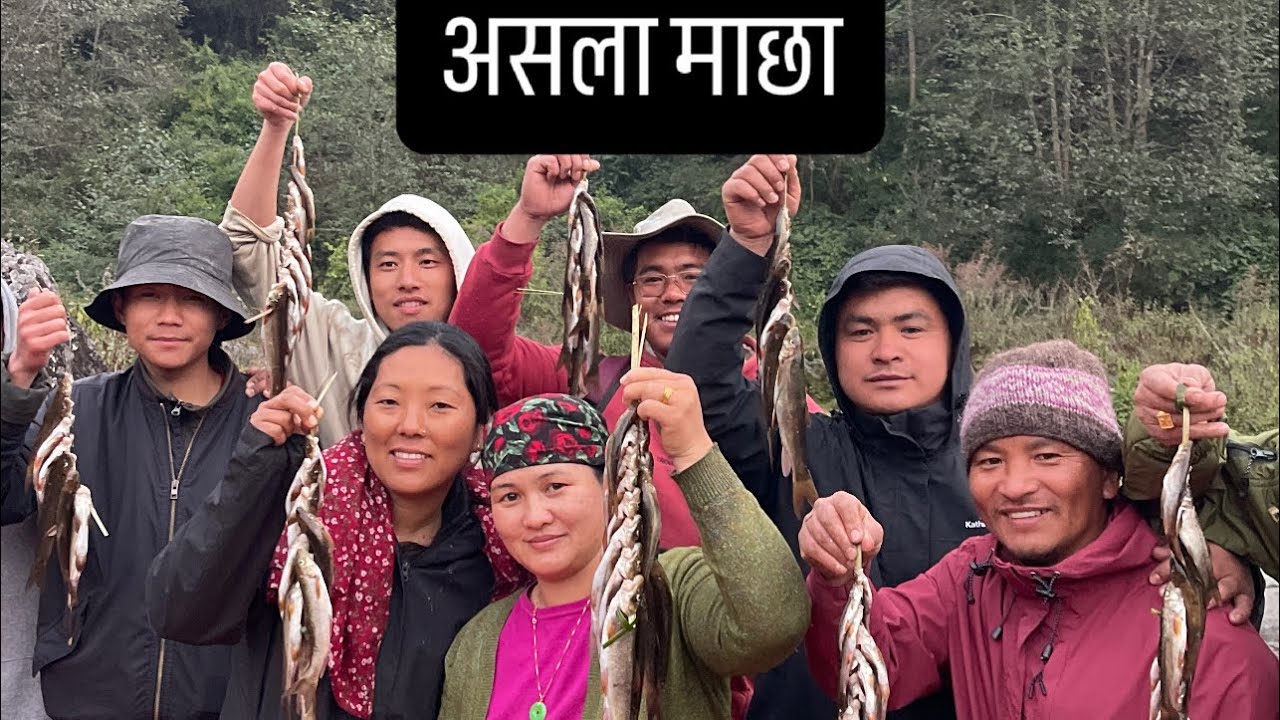 कल्बन्दी खोलाको असला माछा#tangtingvillage #fishingvlog #