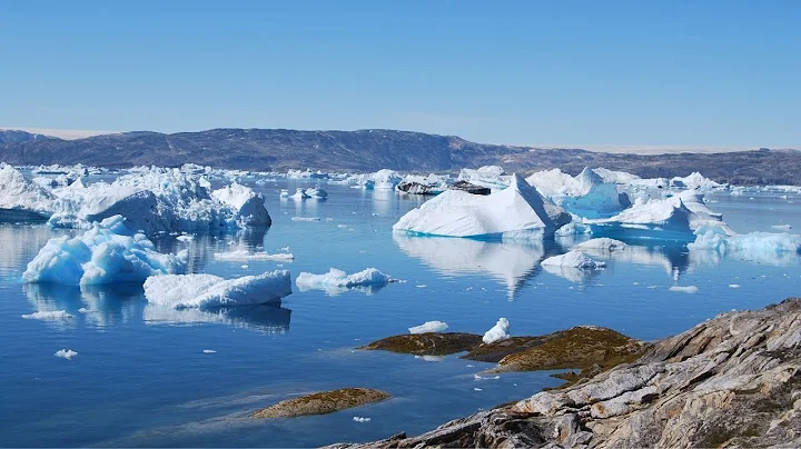 Mid-Coast Audubon Series: Arctic Research w/ Dr. P...