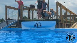 Ash, Sage & Tonka - Dock Diving Time