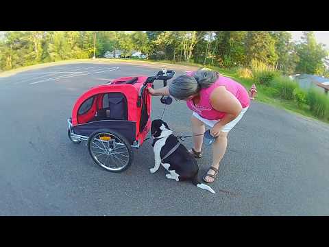 aosom-pet-stroller-and-bike-trailer