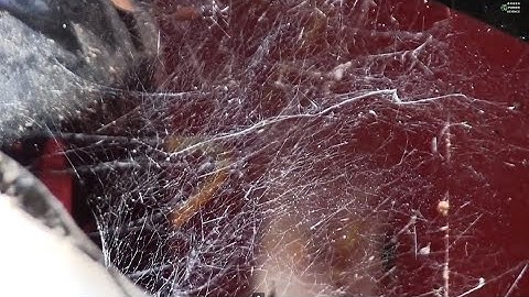 DIY special effects COBWEBS from repurposed Styrofoam DIY Realistic Spider Web Throwing