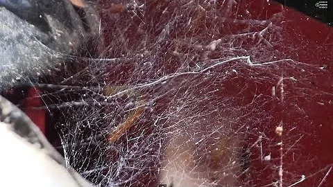 DIY special effects COBWEBS from repurposed Styrofoam DIY Realistic Spider Web Throwing