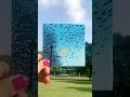 Easy Mini Canvas Painting | Simple Acrylic Painting | Easy Landscape Art | Painting Video | #shorts