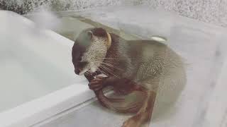2018 0130