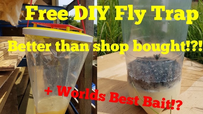 Safer Home Indoor Plug-In Fly Trap