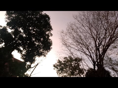 PROVINCE LIFE SHORT STORY