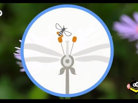 Vídeo: O que são polinizadores alternativos às abelhas