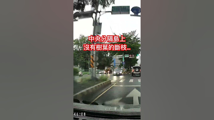 阿貝的道路驚魂EP.48颱風過後外出小心斷枝殘葉 #意外 #行車紀錄器 #行車記錄器 #行車安全 #caraccidentinjury #caraccidentvideos  #accidente