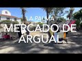 Rastro de Argual, La Palma (4K)