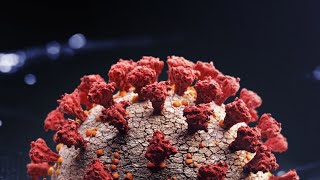 WHO Says Coronavirus Is Accelerating