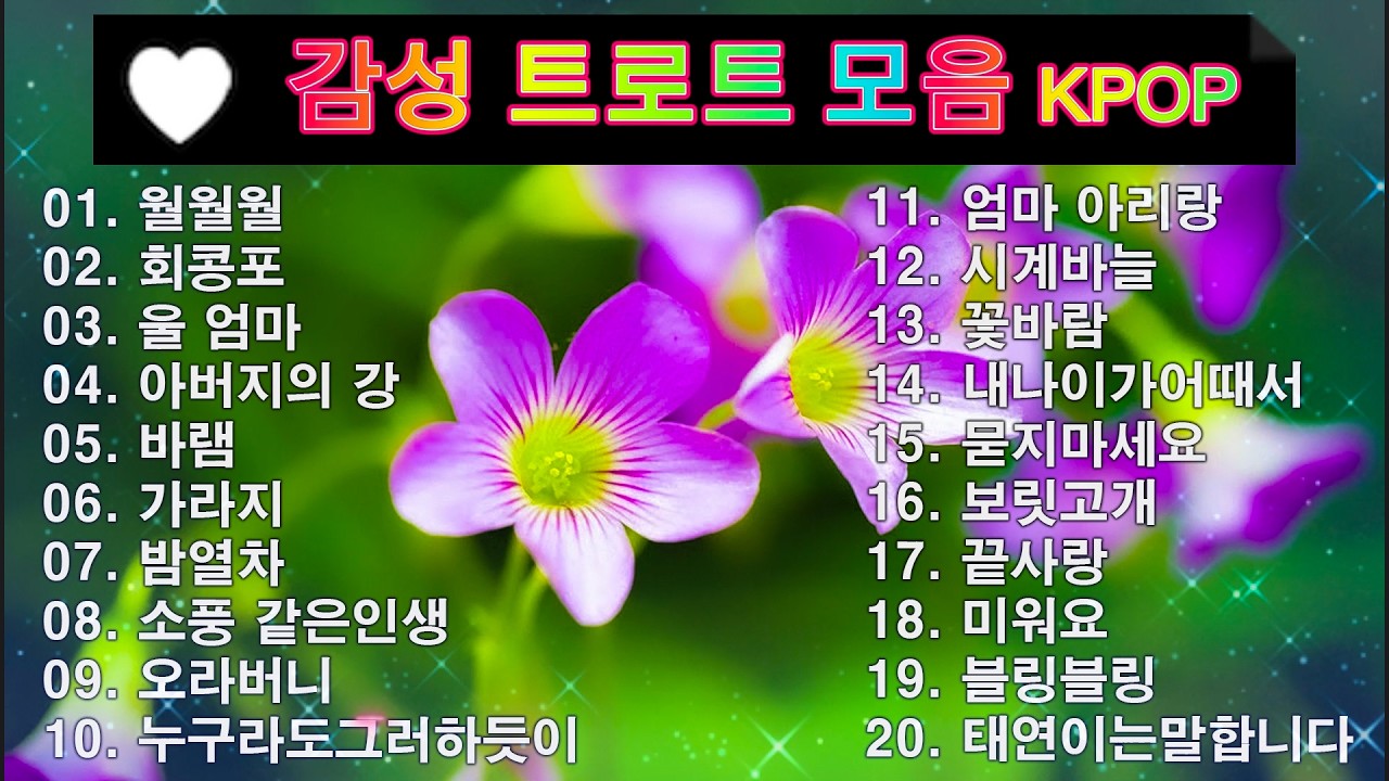 감성 트로트 모음 KPOP (TROT) PLAYLIST 💸 ( 꽃길.상사화.여인의 눈물.회룡포.바람길...) #Kpop