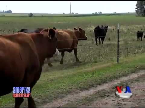 Video: Issiq ichki kiyim va qishki izolyatsiya qilingan kostyum - Ukraina qurolli kuchlari. Tashqi tomondan ko'rish