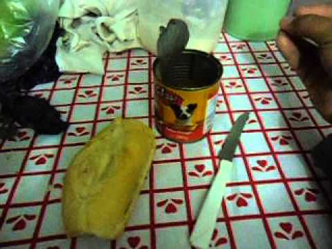 remedio para fazer cachorro engordar