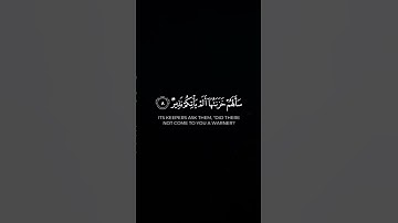 #اكسبلور #تلاوة_خاشعة #اسلام_صبحي
