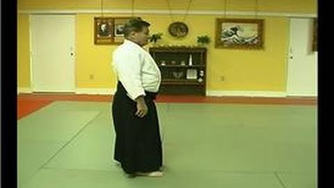 Aikido Techniques : Arm Lock Technique