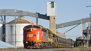 Southern Shorthaul Railroad grain Train  Sun 04/02/18