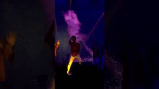 IMG 7352