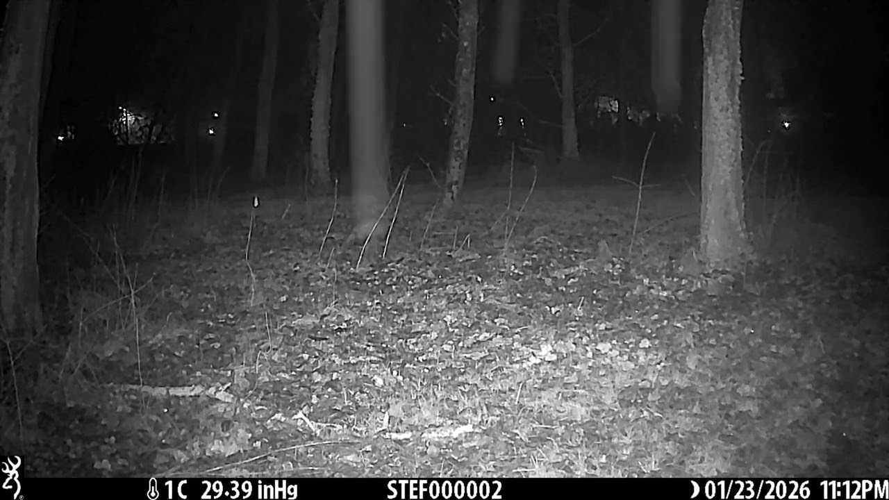 TASSO - 23/01/2026 - 23:12