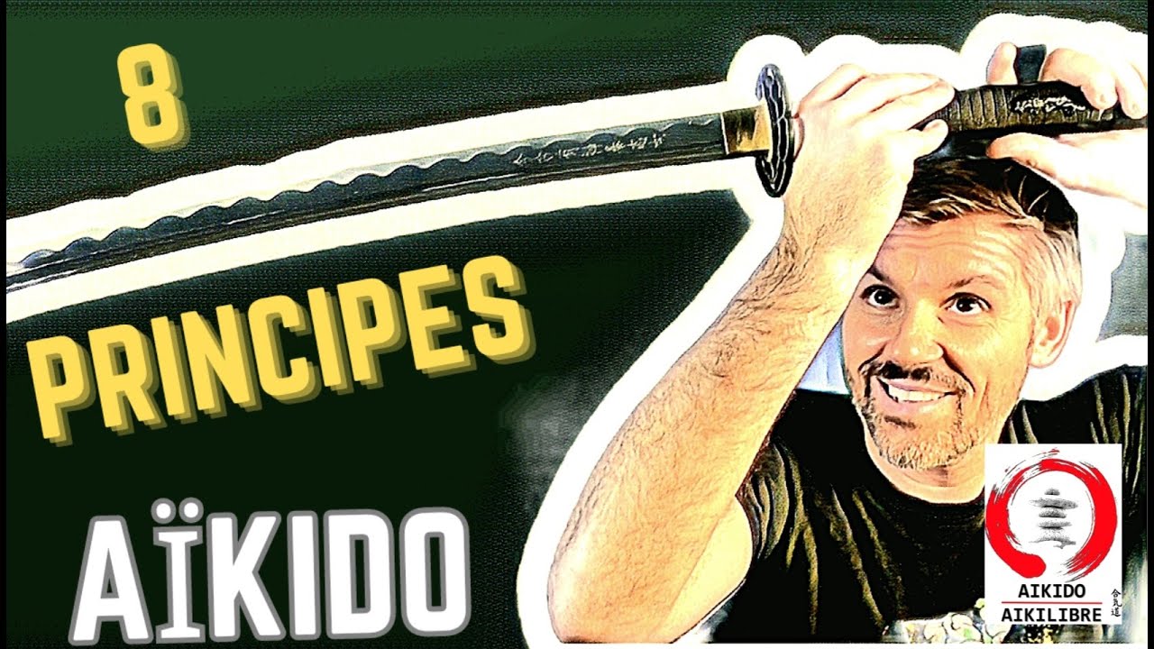 DÉVELOPPER 8 PRINCIPES AÏKIDO POUR PROGRESSER  #aikido #aikilibre