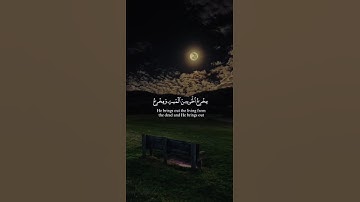 اكتب شيء تؤجر عليه 😴🤍 قران كريم | ياسر الدوسري