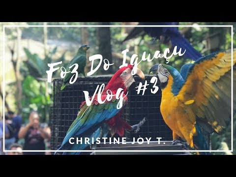went shopping paraguay bird park foz do igua u day went shopping paraguay bird park foz do igua u day