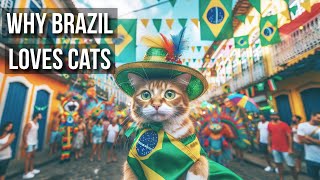 Why Brazil Loves Cats