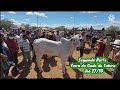 Feira do Gado de Tabira-PE Segunda Parte dia 27/10