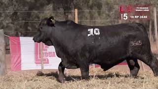 5 LL TF TR BR NEG 10 3645
