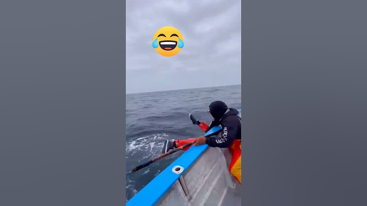 Try Not To Laugh: The Best Funny Videos (2024)😂😂