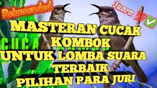 Masteran Cucak Kombok, pilihan juri no 1 ✅ REKOMENDASI TERBAIK▶️❗