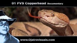 01 Fvs Copperhead - Remastered