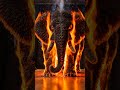 Dangerous Matchstick Elephant Fire Experiment 😨🔥🐘