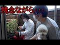 じゅんぺい君の植物の調子が悪いのでカーメン君が様子を見に来た結果・・・【ベランダガーデニング】