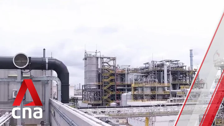 Firms must get ahead of curve, build capability early in S'pore's pursuit of green growth: Grace Fu