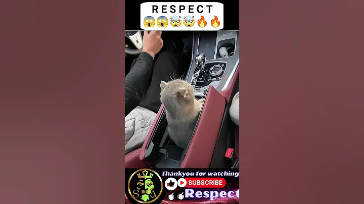 #youtubeshorts #viral #funny #tiktok #trending #ytshorts #memes #shorts #shortvideo #subscribe #like