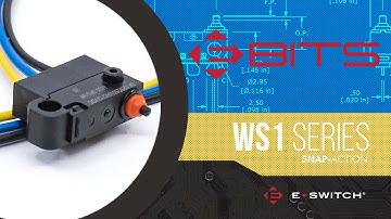 E-Switch E-Bits: WS1 Pre-wired Snap Action Switch