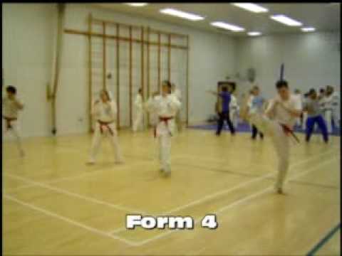 Chongshindo Forms 3-6