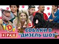 🐶 СОБАКИ 😍 В «ДИЗЕЛЬ ШОУ» 🤪🤣